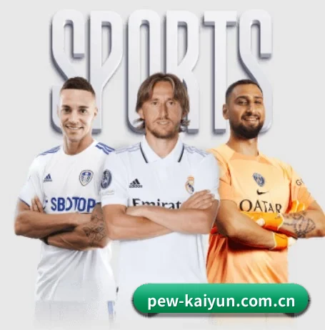 开云 APP - kaiyun